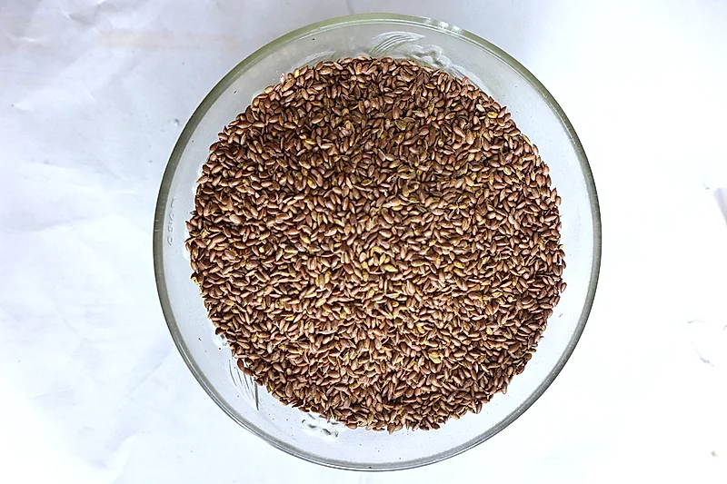 Aalsi Mukhwas – Premium Mukhwas from Shivlal Jeram (Since 1946)