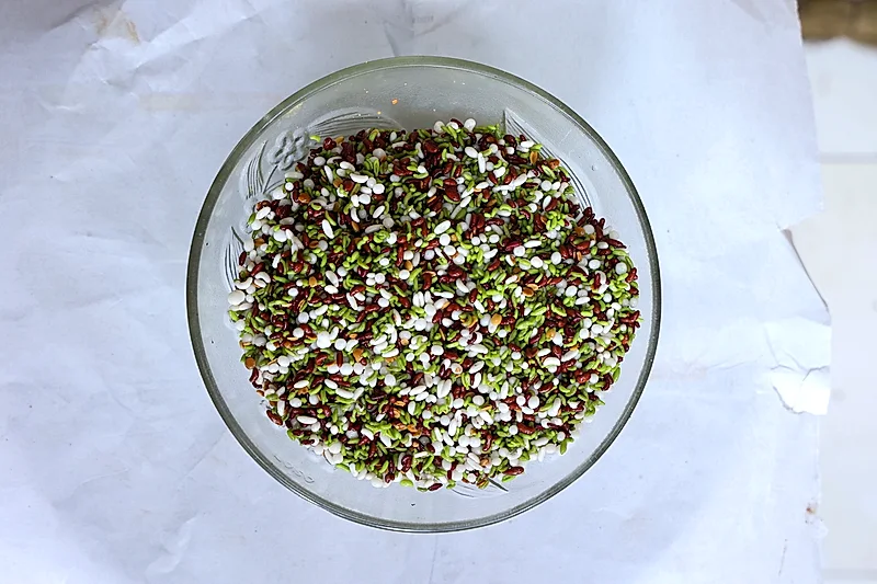 Chocolate Mukhwas – Premium Mukhwas from Shivlal Jeram (Since 1946)