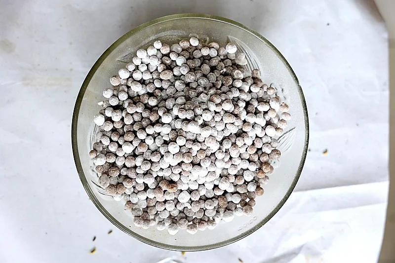 Jeera Vati – Premium Mukhwas from Shivlal Jeram (Since 1946)