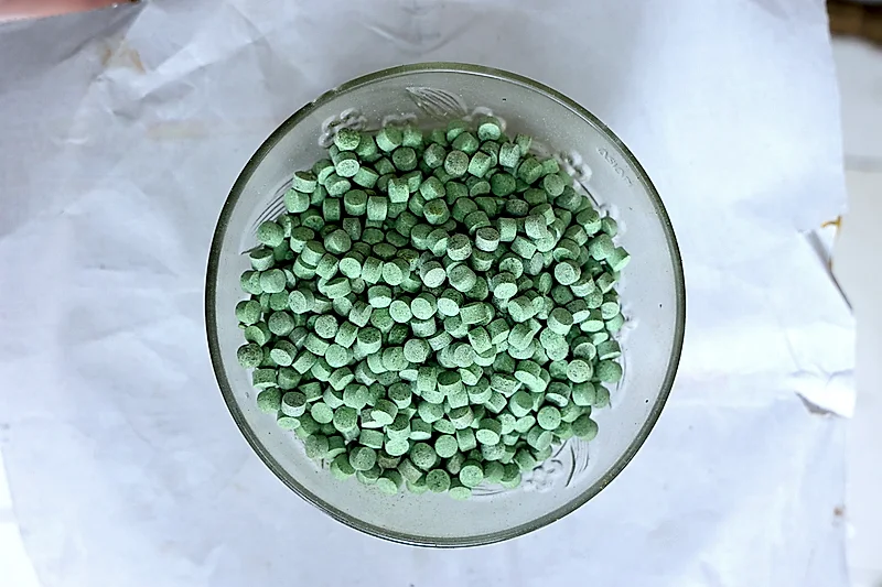 Pudina (Natural Mint) Vati – Premium Mukhwas from Shivlal Jeram (Since 1946)